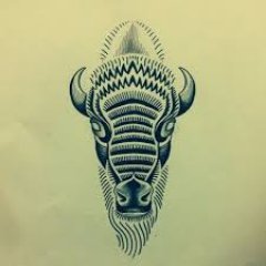 Profile Picture of Jeffrey Al-Furqaani (@BisonSize) on Twitter