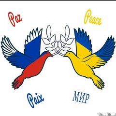 Profile Picture of David Krein486 (@davidkrein486) on Tiktok