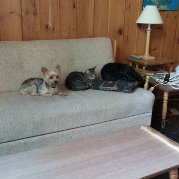 Profile Picture of Daniel Larin (@daniel_larin) on Poshmark