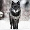 Profile Picture of jamesstatzer0717 (@@jamesstatzer0717) on Tiktok