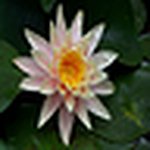 Profile Picture of b2guys2011 (@b2guys2011) on Flickr