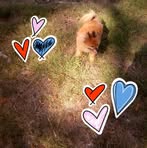 Profile Picture of Wanda Olszewski (@wandabrownmartin10lszewskiwanda10) on Facebook