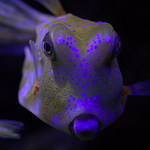 Profile Picture of I Am (@fotoroads) on Flickr