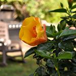 Profile Picture of Barry Reichman (@barrysr666) on Instagram