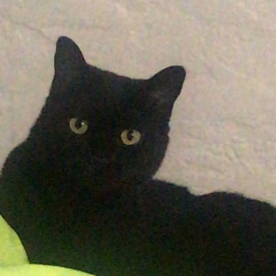 Profile Picture of Jessie Callaway (@CallawayJessie) on Twitter