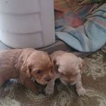 Profile Picture of fernando yael jaimes garcia (@ferchojames05) on Instagram