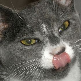 Profile Picture of Benjamin Salcedo (@salcedo1964) on Pinterest