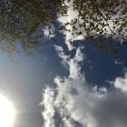 Profile Picture of   Bojan Lazarevic... (@bojanlazarevic) on Tiktok