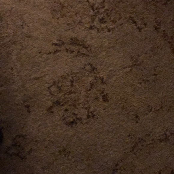 Profile Picture of Daniel Mahler (@damahler) on Poshmark