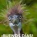 Profile Picture of Carlos Recinos (@carlos40267583) on Pinterest