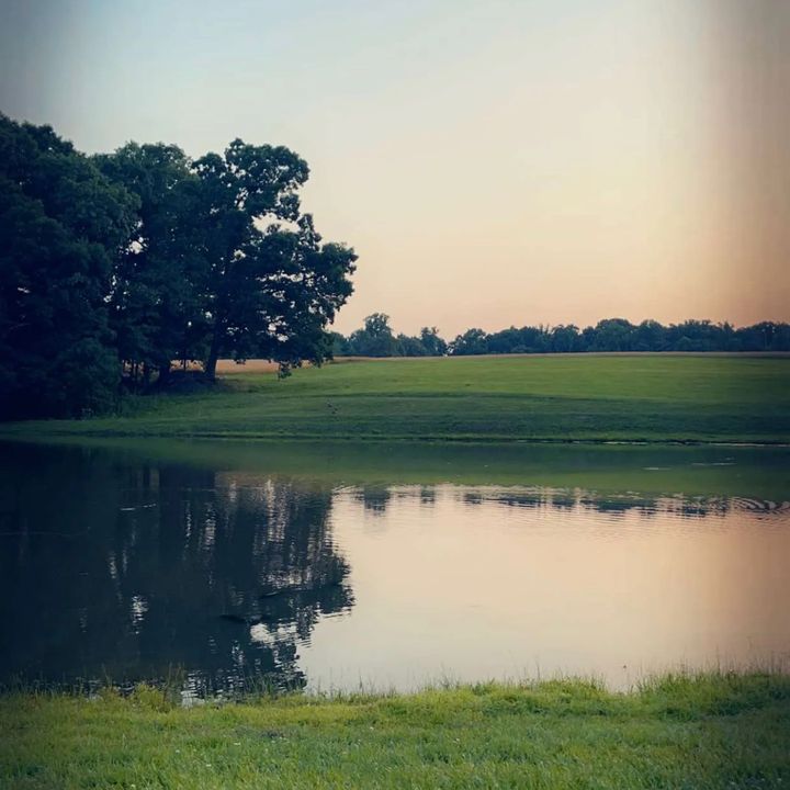 Profile Picture of Bryson🦆 (@bryson.horton2) on Tiktok