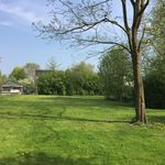 Profile Picture of Nancy (@op_de_heuvel) on Instagram