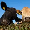 Profile Picture of hopehurd633 (@hopehurd633) on Tiktok