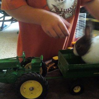 Profile Picture of Debbie Napper (@debbie.napper.792) on Facebook