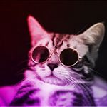 Profile Picture of TYLER AHLSTRÖM (@tylerahlstrom) on Instagram