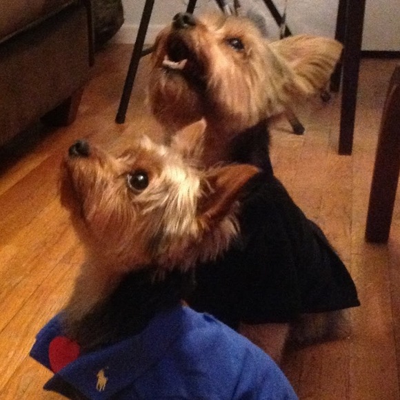 Profile Picture of Margaret Bellido (@bellrod2017) on Poshmark