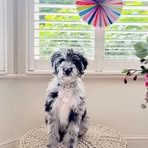 Claire Holland - Facebook Profile Picture of Claire Holland (@Claire-Holland) on Facebook