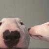 Profile Picture of Anna Reuter (@@annarreuter) on Tiktok