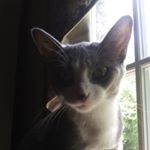Profile Picture of Sarahmason (@sarah_gamer19) on Instagram