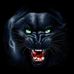 Profile Picture of Joël Buitenhuis (@joel.buitenhuis.58) on Facebook