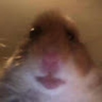 Profile Picture of Brook Colton (@brook-colton-1) on Quora