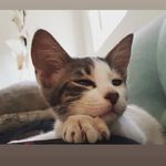 Profile Picture of Brian Salinas (@briansalinasg) on Instagram