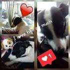Profile Picture of   TikTok de Jessica Lynex... (@jlynex) on Tiktok