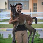 Profile Picture of سعـــد السعـــدي(WS) (@saadalsaadi7) on Instagram