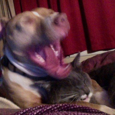 Profile Picture of Leeann Paynter (@LeePaynter9578) on Twitter
