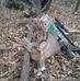 Profile Picture of Jeff Frizzell (@jeff.frizzell.988) on Facebook