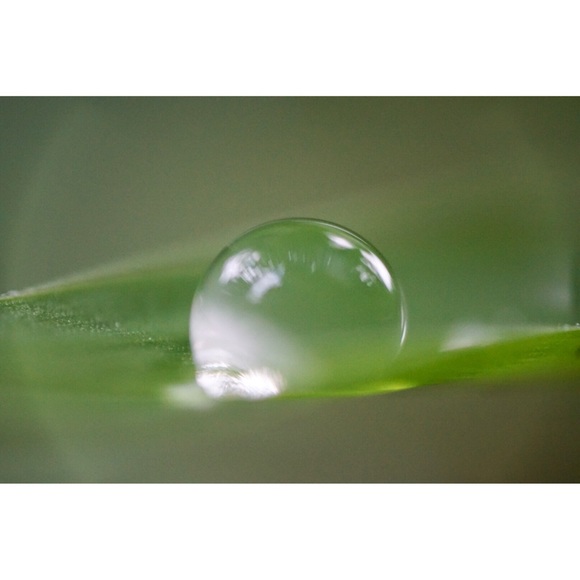 Danny Ganiko - Poshmark Profile Picture of Danny Ganiko (@dvgv) on Poshmark