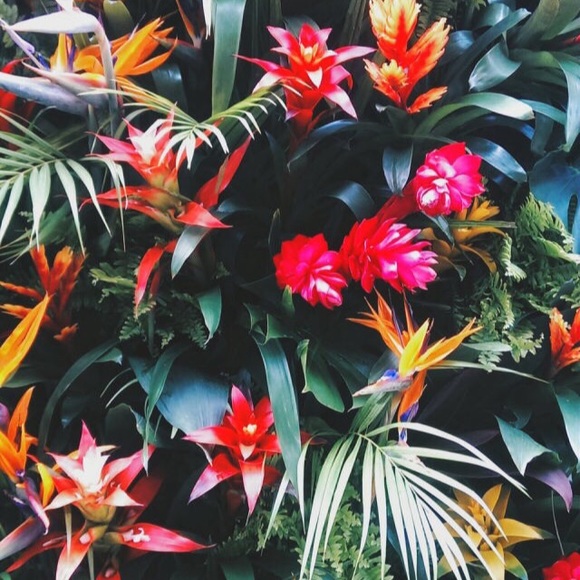 Profile Picture of Dustin Bui (@dustinbuii) on Poshmark