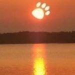 Terry Mclees - Instagram Profile Picture of Terry Mclees (@terrymclees) on Instagram