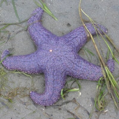 Profile Picture of Lori (@LoriEdTech) on Twitter