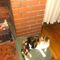 Profile Picture of Carrol Blevins (@carrol.blevins.9) on Facebook