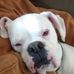 Profile Picture of Steven Dady (@steven.dady.52) on Facebook