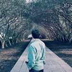 Profile Picture of Jared Cortez (@jared_cortez) on Instagram