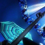 Profile Picture of steve (@littonwa9) on Instagram