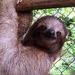 Profile Picture of brendan Glavin (@glavinator1) on Pinterest