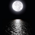 Profile Picture of Felipe Souza (@fergutosouza) on Flickr