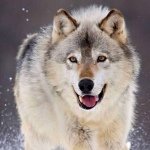 Philip Stumpf - Instagram Profile Picture of Philip Stumpf (@philipstumpf) on Instagram