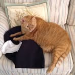 Profile Picture of Janean Hogmire (@janean.hogmire.1) on Facebook