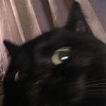 Rebecca Etherington - Instagram Profile Picture of Rebecca Etherington (@etherington.bec) on Instagram