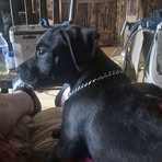 Profile Picture of Bob Greer (@Bob-Greer) on Facebook