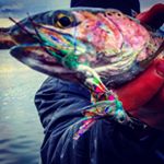 Profile Picture of Kelly Wilson (@salmonflymt) on Instagram