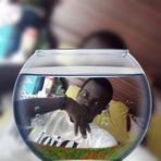 Profile Picture of Mule Stephen Martin Nasona (@Mule-Stephen-Martin-Nasona) on Facebook