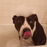 Profile Picture of Samuel Aleman (@samuel-aleman-4) on Quora