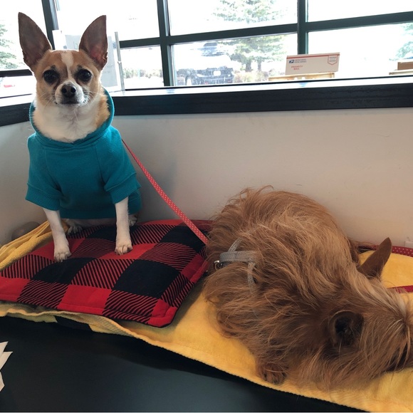 Profile Picture of Rainey Tadehara (@toshiko128) on Poshmark