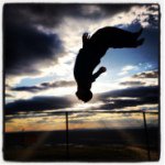 Profile Picture of SDankert (@stephen_dankert) on Instagram