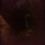 Profile Picture of Chris Hauberg (@chris_hauberg) on Instagram
